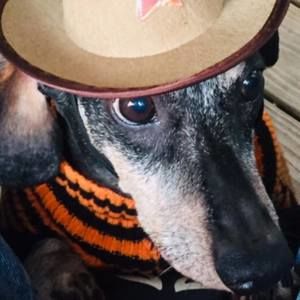 Meet your Posher, Deborah